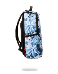 SPENSIVE BACKPACK
